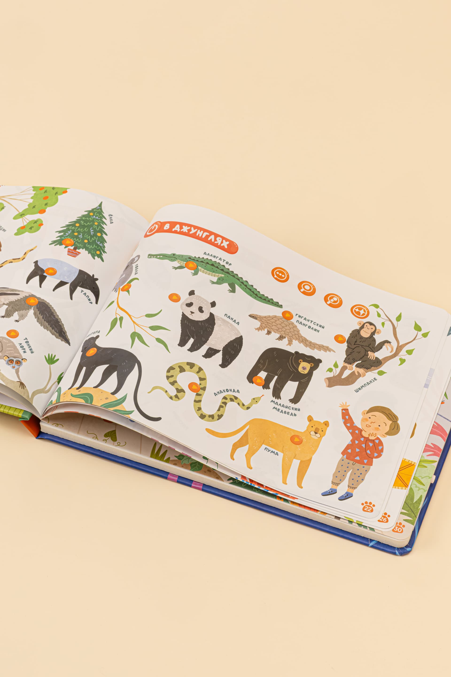 Интерактивная книга Abumba Fingerbook «Какие бывают животные» 6