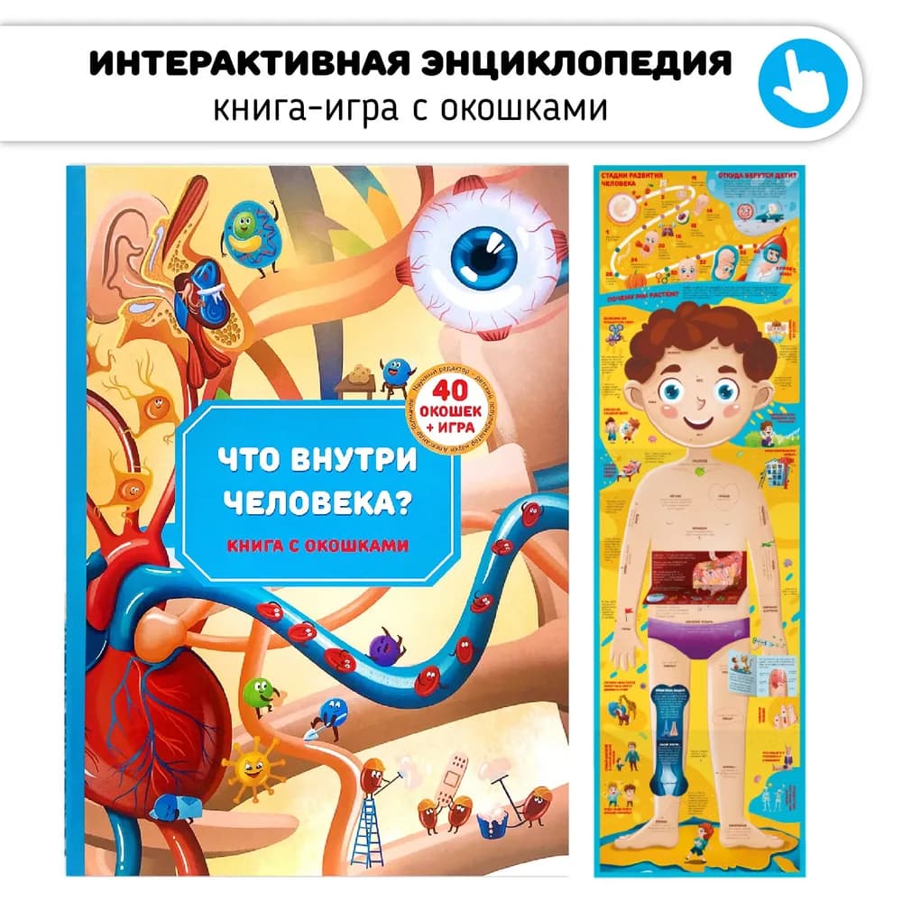 Анатомия. Что внутри у человека?