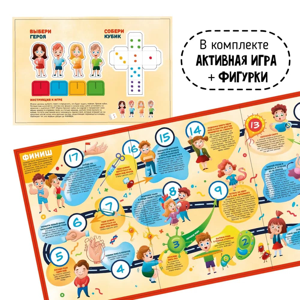 Анатомия. Что внутри у человека?