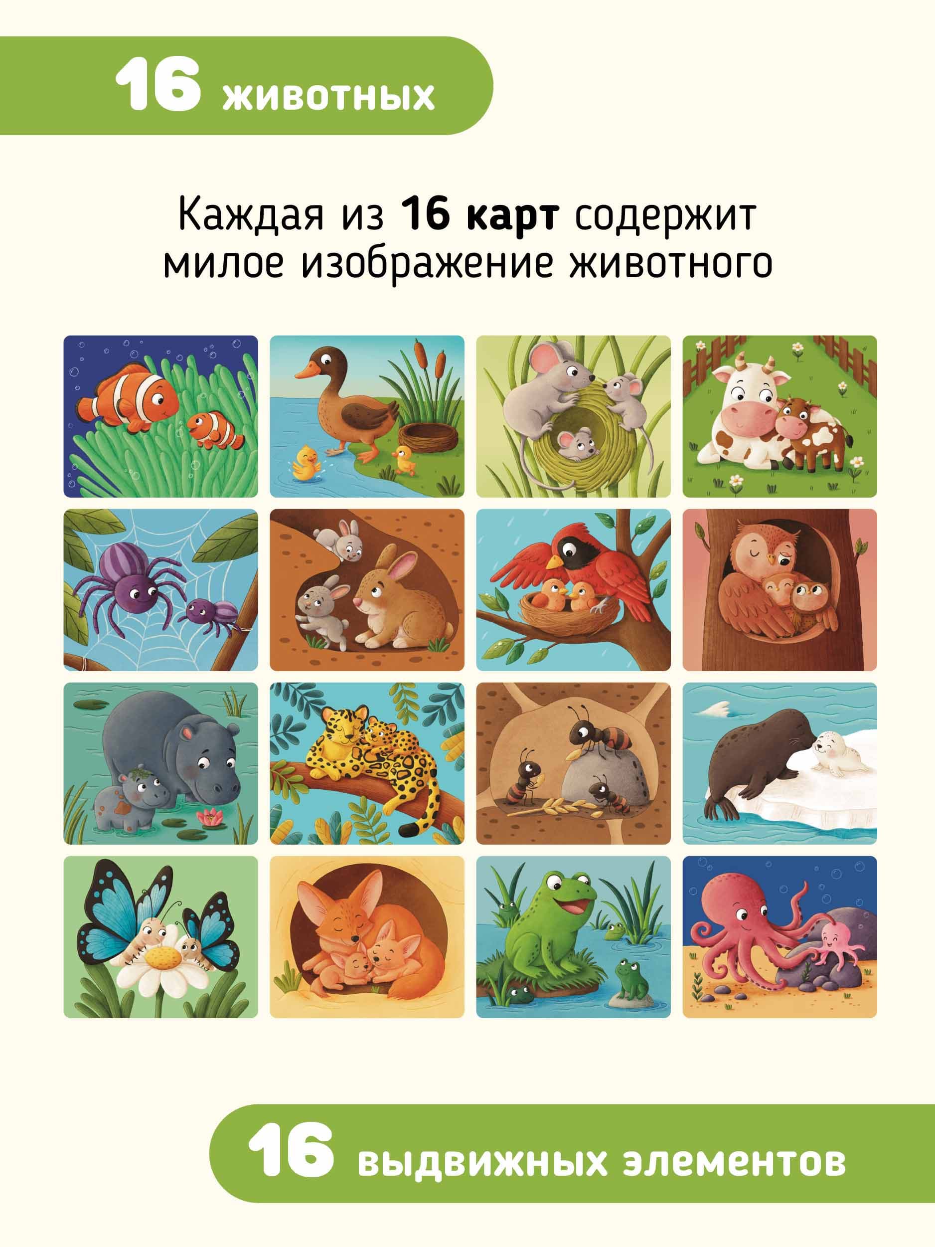 Развивающие карточки "Тяни и смотри" 6
