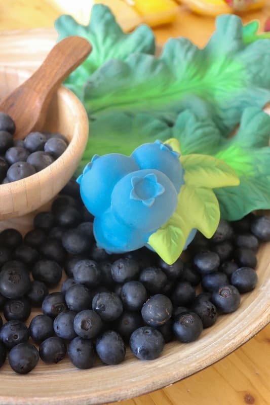 Jerry the Blueberry, прорезыватель для зубов 4